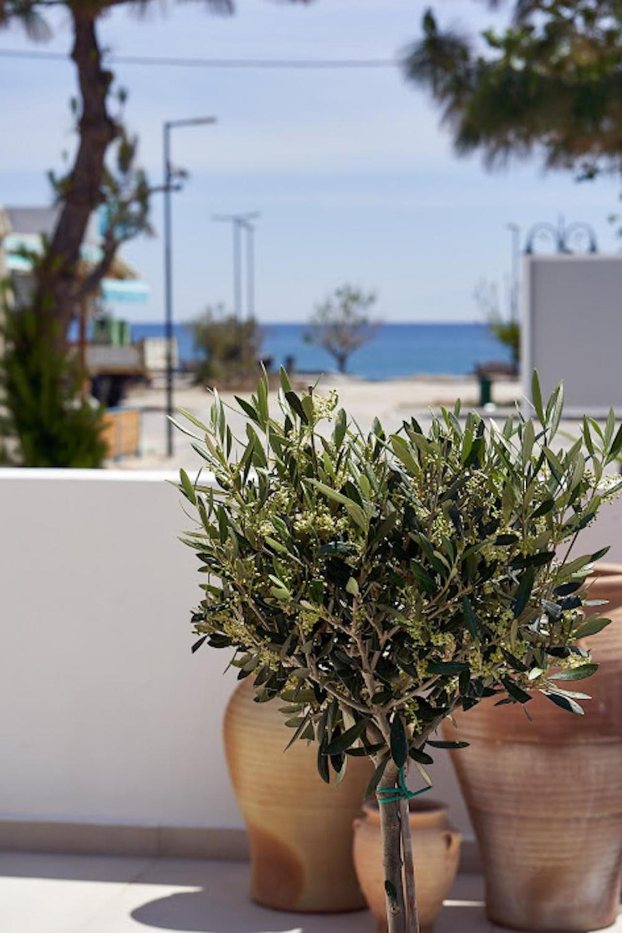 Apartment Sia Mare Seaside *